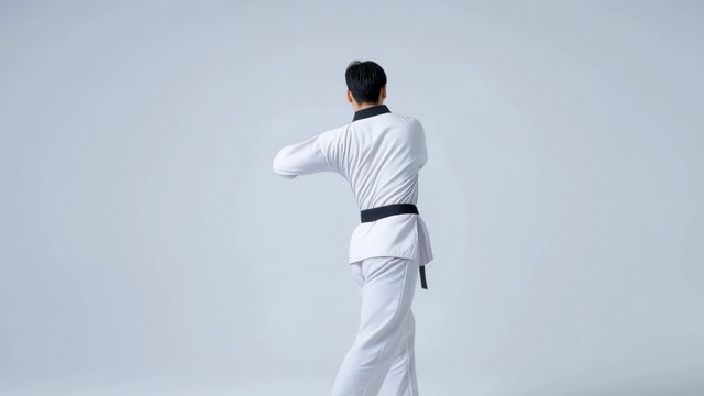 Standing Hip Twist